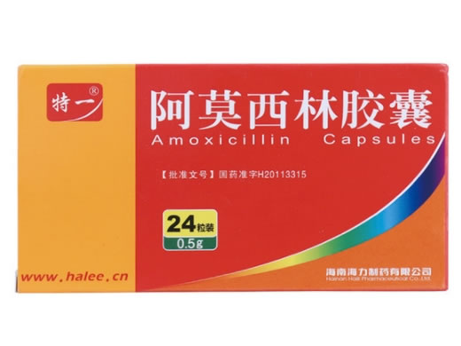 特一阿莫西林胶囊招商代理 0.5g*24粒 海力