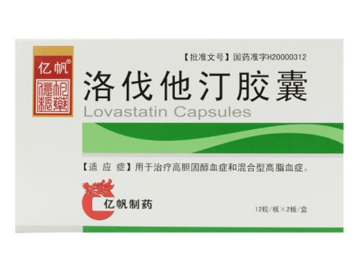 亿帆洛伐他汀胶囊招商代理 24粒