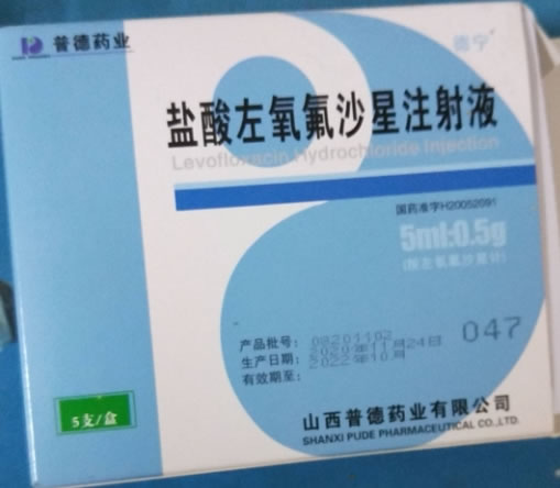 德宁/普德药业盐酸左氧氟沙星注射液招商代理 0.5g*5支