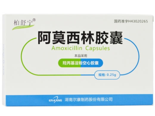 柏舒宁阿莫西林胶囊招商代理 