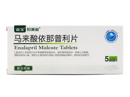马来酸依那普利片招商代理 10片 亚宝药业