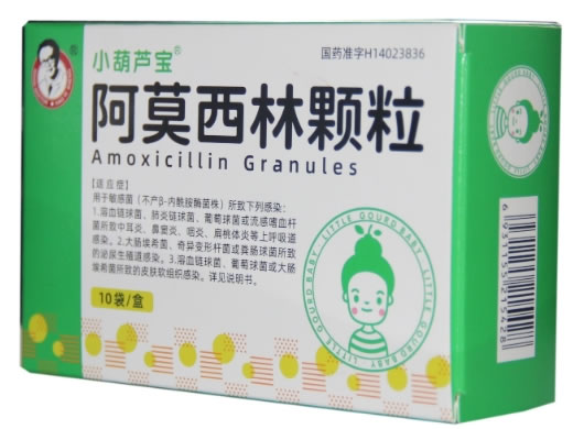 小葫芦宝阿莫西林颗粒招商代理 10袋