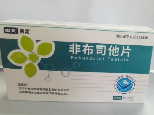 中大/言定非布司他片招商代理 30片