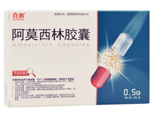 真心阿莫西林胶囊招商代理 18粒