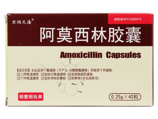 京润义海阿莫西林胶囊招商代理 42粒 圣大(张家口)药业