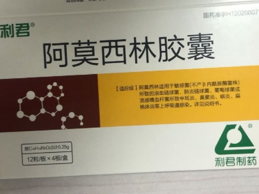 利君阿莫西林胶囊招商代理 48粒 太平洋制药