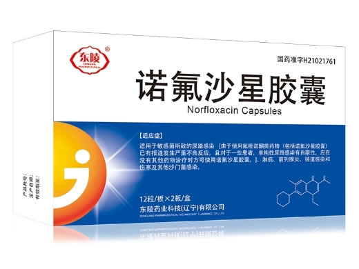 东陵诺氟沙星胶囊招商代理 24粒