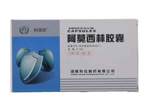 科洛欣阿莫西林胶囊招商代理 30粒