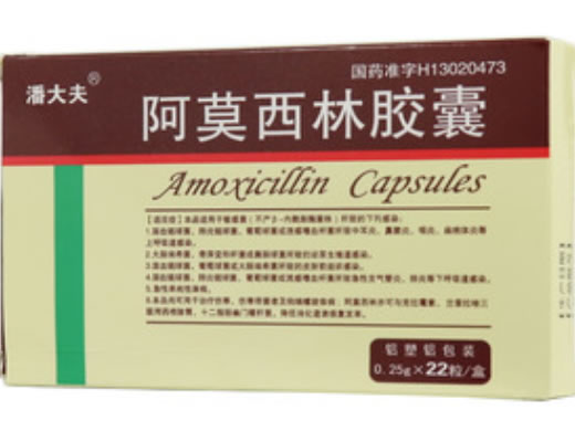 潘大夫阿莫西林胶囊招商代理 22粒