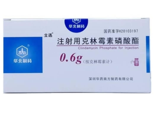 注射用克林霉素磷酸酯招商代理 0.6g 南方制药