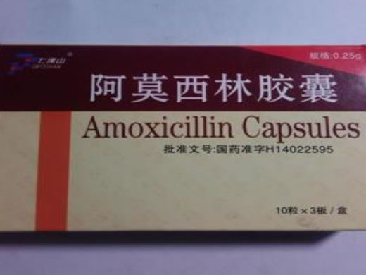 七佛山阿莫西林胶囊招商代理 30粒