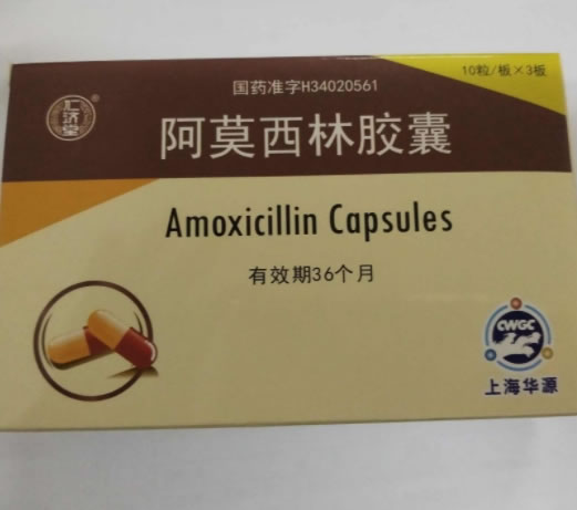 仁济堂阿莫西林胶囊招商代理 30粒