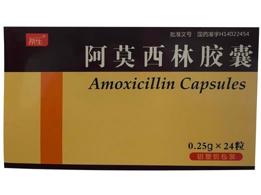 昂生阿莫西林胶囊招商代理 24粒 昂生