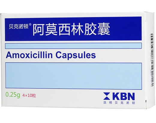贝克诺顿阿莫西林胶囊招商代理 贝克诺顿 0.25g*40粒