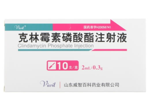 Viwit克林霉素磷酸酯注射液招商代理 0.3g*10支