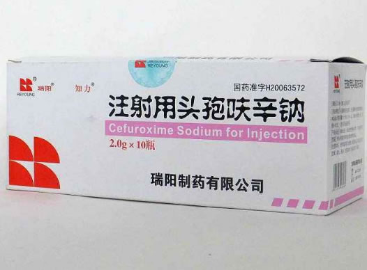 瑞阳/知力注射用头孢呋辛钠招商代理 2g*10瓶