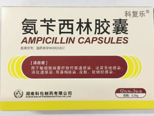 氨苄西林胶囊