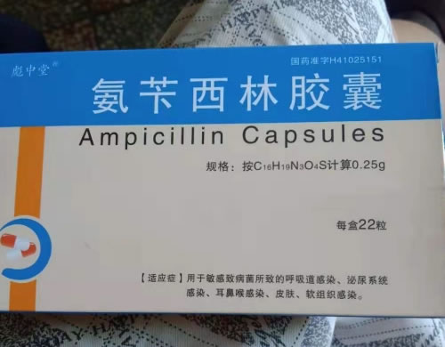 氨苄西林胶囊招商代理 22粒 上海现代哈森(商丘)