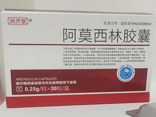 俏济堂阿莫西林胶囊招商代理 30粒