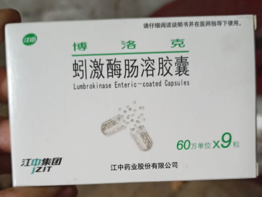 博洛克蚓激酶肠溶胶囊招商代理 蚓激酶肠溶胶囊 9粒*1板