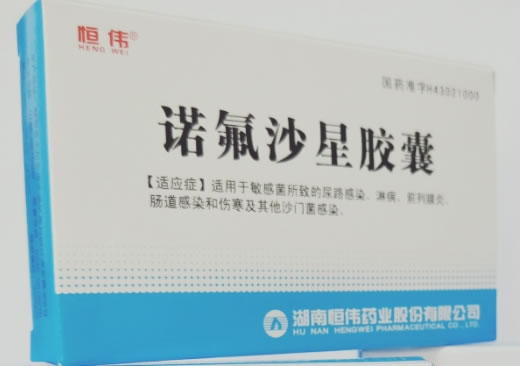 恒伟诺氟沙星胶囊招商代理 