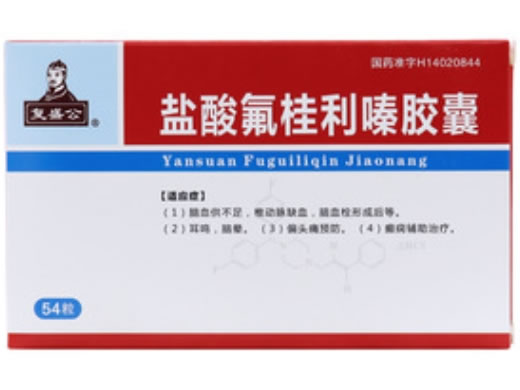 复盛公盐酸氟桂利嗪胶囊招商代理 54粒