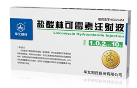 华北制药盐酸林可霉素注射液招商代理 华北制药 1ml*10支
