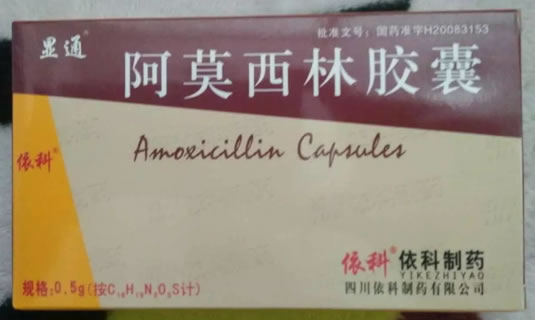 显通/依科阿莫西林胶囊招商代理 12粒