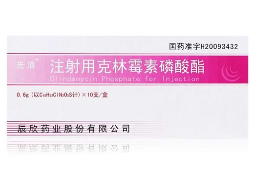 注射用克林霉素磷酸酯招商代理 0.6g*10支 辰欣