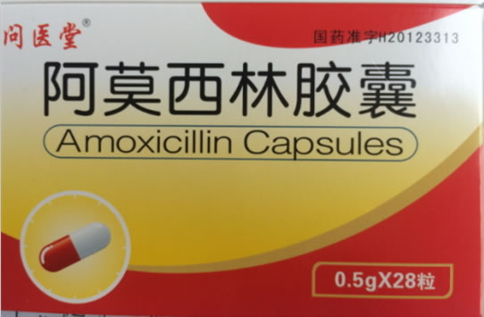 问医堂阿莫西林胶囊招商代理 28粒