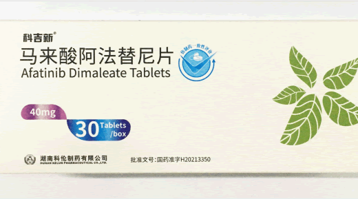 马来酸阿法替尼片