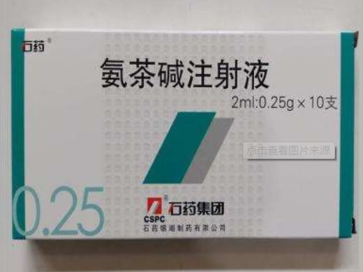 石药氨茶碱注射液招商代理 10支