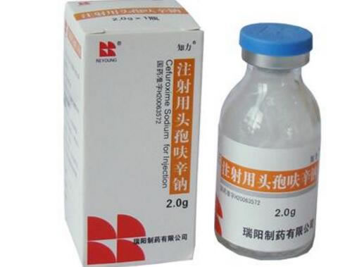 知力注射用头孢呋辛钠招商代理 2.0g 瑞阳制药