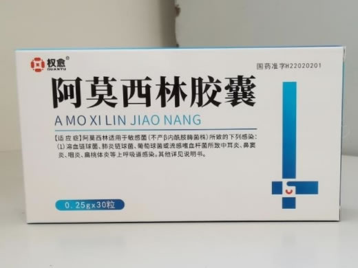 权愈阿莫西林胶囊招商代理 48粒