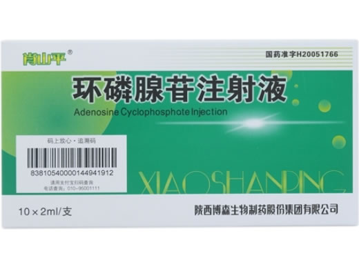 肖山平环磷腺苷注射液招商代理 10支 肖山平