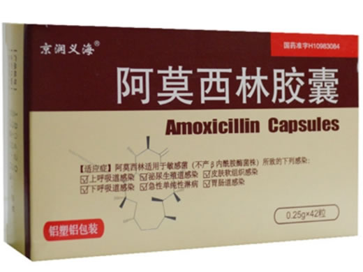 京润义海阿莫西林胶囊招商代理 42粒 海润药业
