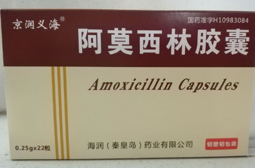 京润义海阿莫西林胶囊招商代理 22粒