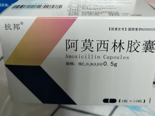 抗邦阿莫西林胶囊招商代理 40粒