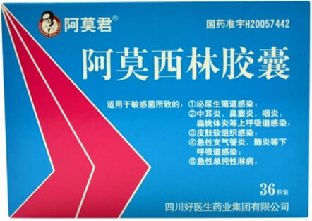 阿莫君阿莫西林胶囊招商代理 36粒