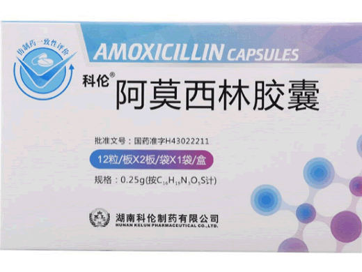 阿莫西林胶囊招商代理 24粒 科伦制药