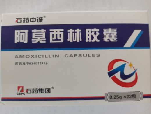 石药中诚阿莫西林胶囊招商代理 22粒