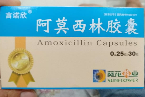 言诺欣阿莫西林胶囊招商代理 30粒