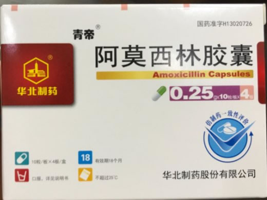 青帝阿莫西林胶囊招商代理 40粒 华北制药