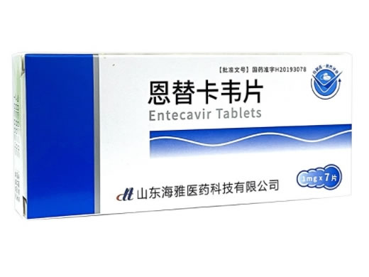恩替卡韦片