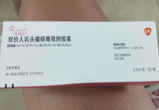 双价人乳头瘤病毒吸附疫苗