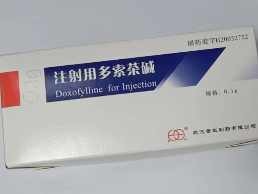 注射用多索茶碱招商代理 10支 武汉普生
