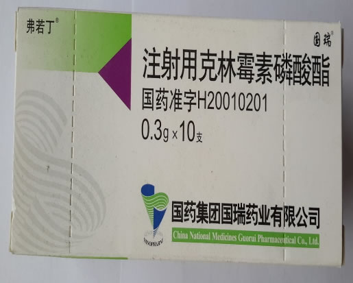 弗若丁/国瑞注射用克林霉素磷酸酯招商代理 0.3g*10支