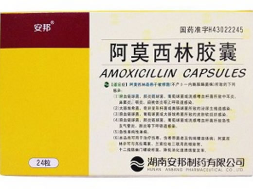 安邦阿莫西林胶囊招商代理 24粒 安邦制药
