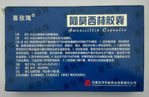 喜玫瑰阿莫西林胶囊招商代理 18粒