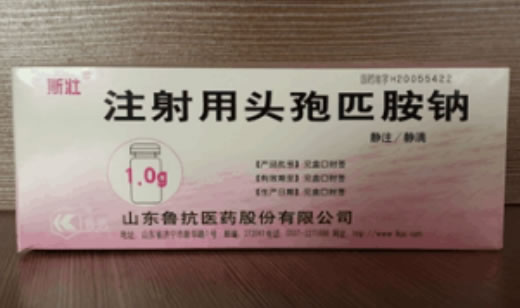 斯壮注射用头孢匹胺钠招商代理 10支